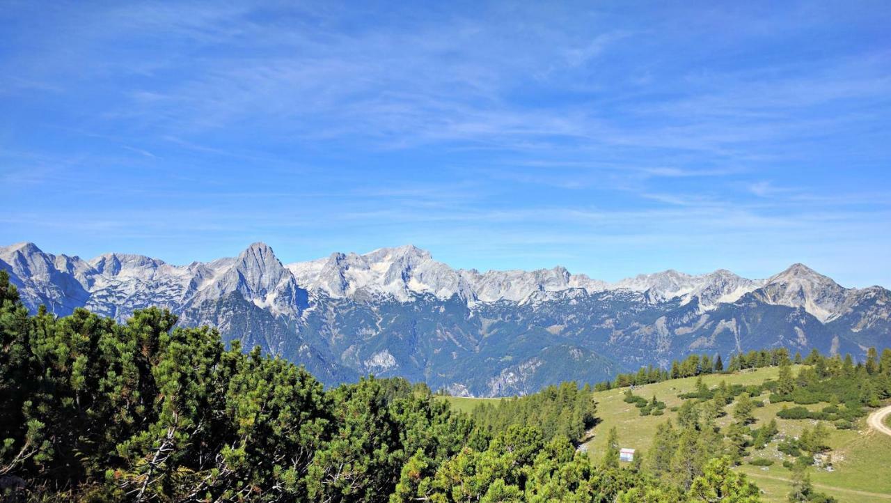Ferienbungalow Mountain View Wood Spital Am Pyhrn Dış mekan fotoğraf